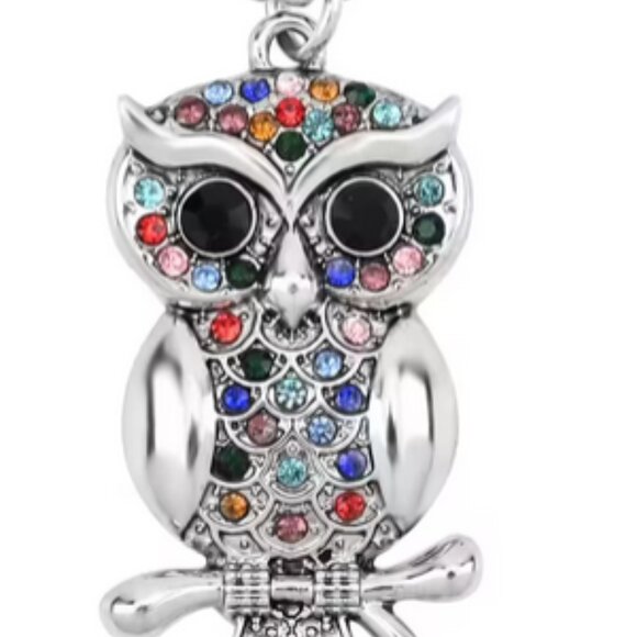 Owl Pendant Necklace in Silvertone Multi Color Austrian Crystal Necklace 28-30" - Picture 1 of 6